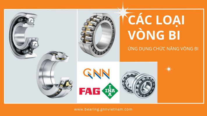 Các Loại Vòng Bi Thông Dụng - Ứng dụng Chức Năng Vòng Bi